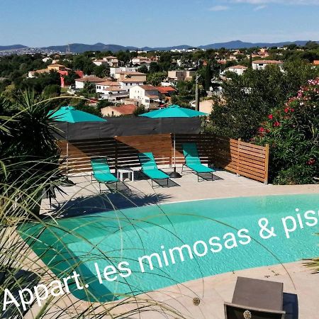 Mimosas - Villa Fréjus エクステリア 写真